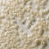 26216 WS-Mat Gel Base - Image 2