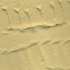 26217 WS-Arena Desierto (Desert Sand) - Image 4