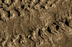 26219 WS-Tierra Marrón (Brown Earth) - Image 4