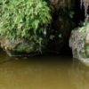 26230 WE-Aguas Tranquilas - Image 4
