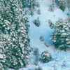 26231 WE-Foam & Snow (Espuma y Nieve) - Image 4