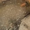 73803 WE-Industrial Splash Mud - Image 3