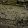 73808 WE-Thick Mud / Russian Mud - Image 4