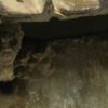 73813 WE-Engine Effects / Oil Stains - Image 4