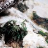 73820 WE-Environment Effect / Snow - Image 4