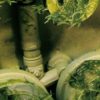 73825 WE-Environment Effect / Crushed Grass - Image 4