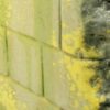 73827 WE-Environment Effect / Moss & Lichen Effects - Image 4