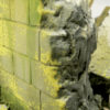 73827 WE-Environment Effect / Moss & Lichen Effects - Image 3