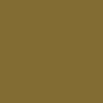 MMP-017 Grunbraun RAL 8000