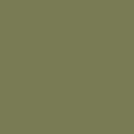 MMP-020 US Army Olive Drab Faded 1 FS 30488