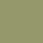 MMP-021 US Army Olive Drab Faded 2