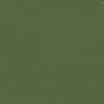 MMP-029 Russian Dark Olive 2 FS 34096