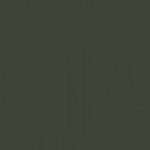 MMP-031 Russian Dark Green 4BO FS 34079