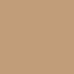 MMP-038 US Desert Tan Modern 2 FS 33446