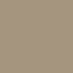 MMS-006 Tan Primer