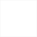 MMW-004 Transparent Medium