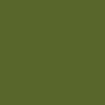 MMP-009 Olivegrun RAL 6003