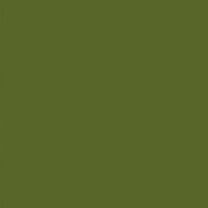 MMP-009 Olivegrun RAL 6003